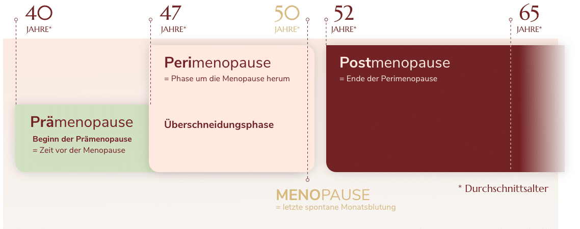 Menopause Zentrum Phasen der Wechseljahre