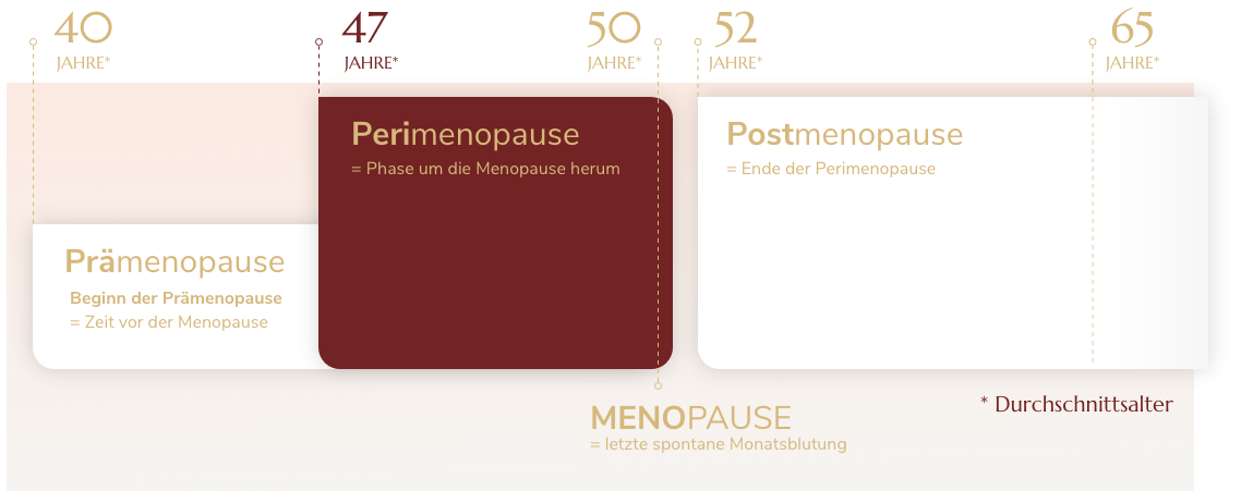 Menopause Zentrum_Perimenopause_Infografik