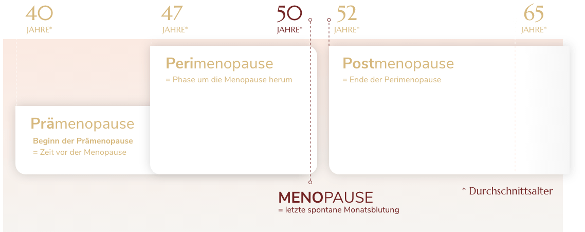 Menopause Zentrum Wechseljahre Phasen Menopause