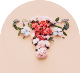 Menopause Zentrum Dysplasie
