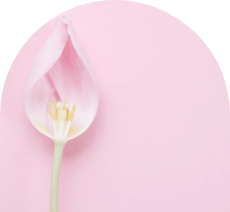 Menopause Zentrum Hormonkosmetik