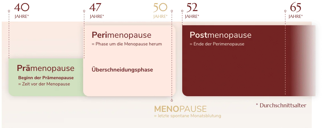 Phasen-Menopause