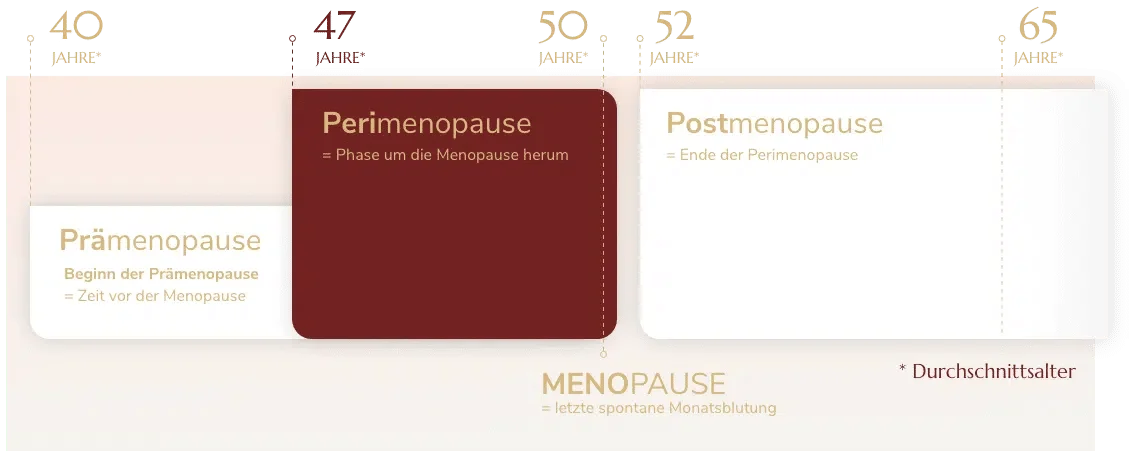 Phasen-PeriMenopause.png
