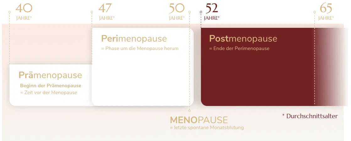 Phasen-PostMenopause.png