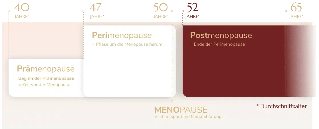 Phasen-PostMenopause.png
