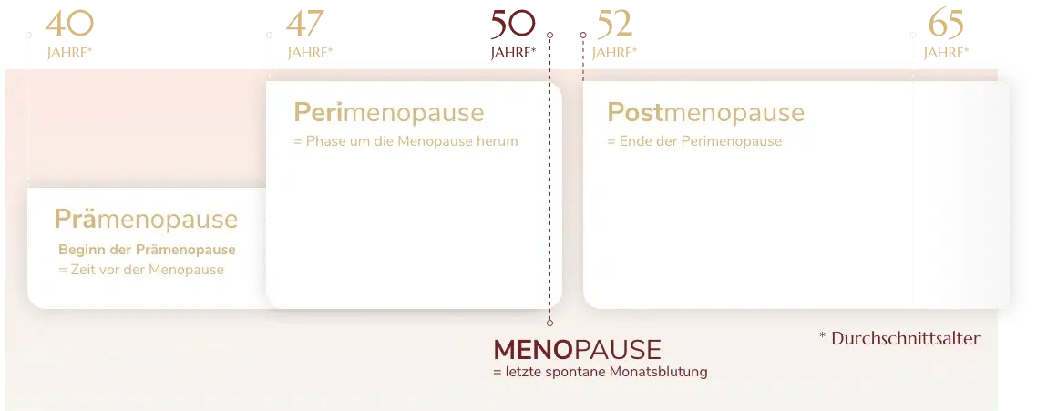 Phasen_Wechseljahre_Menopause.pn