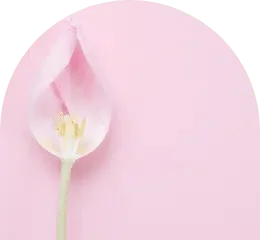 Therapie_Kosmetik_Cover.png